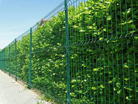 Zaun, Zaunsysteme, Stabmattenzaun, Foto: hcast/fotolia.com