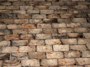 Kratzer im Parkett entfernen So einfach geht's - bauen.de