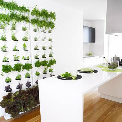 gruenewand minigarten containersystem wandbegrünung, kunststoffplatte, gruene wand,Foto: mini-garden.de
