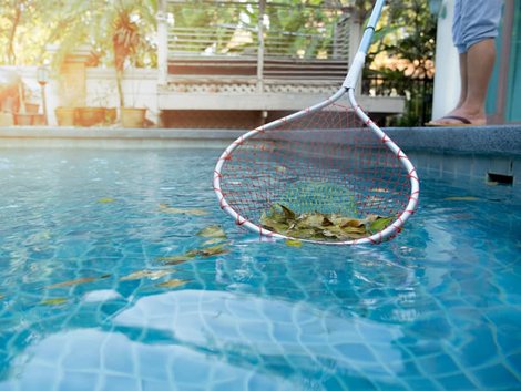 Swimmingpool, jemand fischt Blätter mit Käscher aus Poolbecken, Foto: bignai / stock.adobe.com