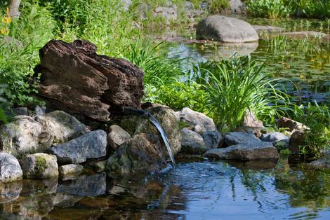 Gartenteich, Naturgarten, Foto: Franz Peter Rudolf / fotolia.com