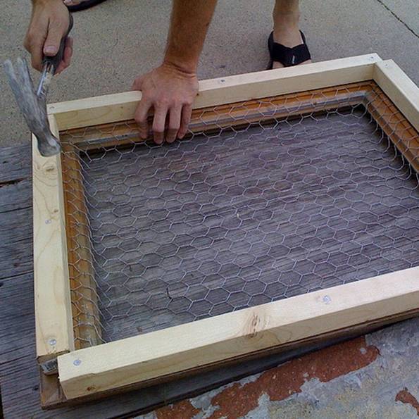 gruenewand diy sukkulenten2 Bilderrahmen gestalten, do it yourself, pflanzen, luna-see.com