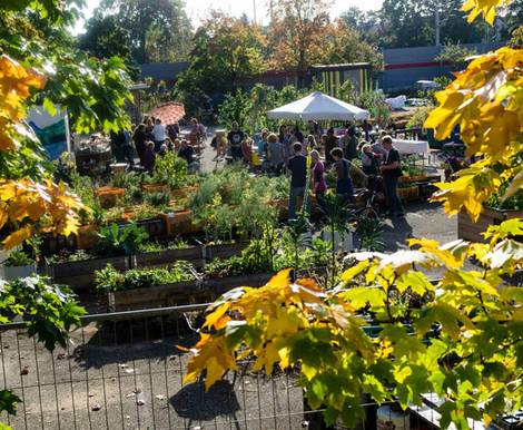 stadtgarten, Nürnberg, Urban Gardening. Foto: stadtgarten-nuernberg.de