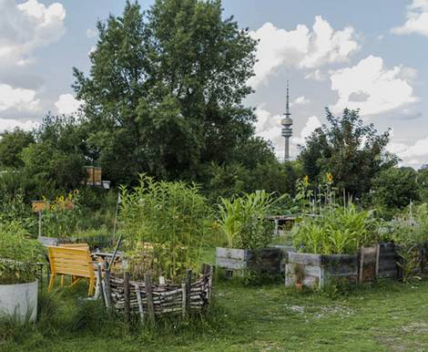 o’pflanzt is!, München, Urban Gardening. Foto: Thomas Degen / o-pflanzt-is.de
