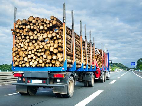 energieeffizient Bauen, ein LKW transportiert Baumstämme über die Autobahn, Foto: Petair / stock.adobe.com