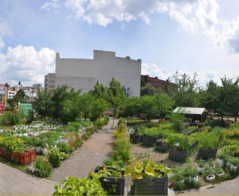 Prinzessinnengarten, Berlin, Urban Farming. Foto: prinzessinnengarten.net