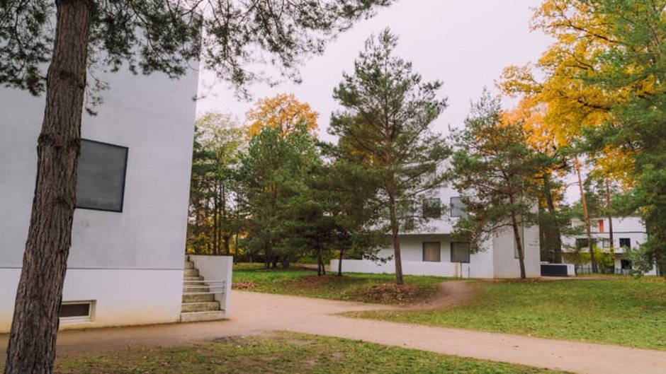 Bauhaus, Bauhausstil, Bauhausvillen in Dessau inmitten großer Bäume, Foto: jo.pix / stock.adobe.com