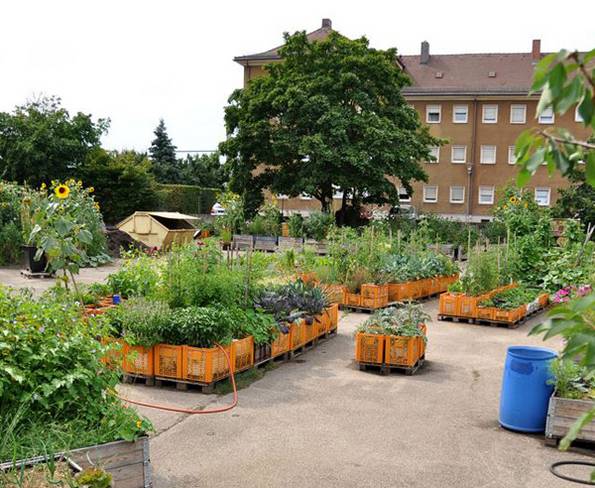 Urban Farming, Urban Gardening, stadtgarten, Nürnberg. Foto: stadtgarten-nuernberg.de