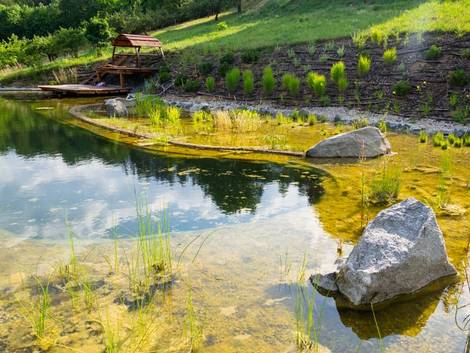 Schwimmteich, ein Schwimmteich mit Regenerationsbecken