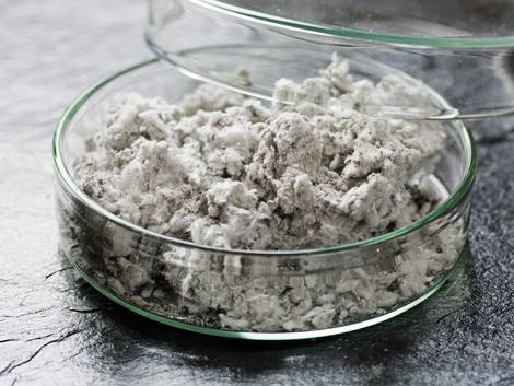 Asbestsanierung, Asbestmaterialprobe in einer Petrischale, Foto: Tyuboya / stock.adobe.com