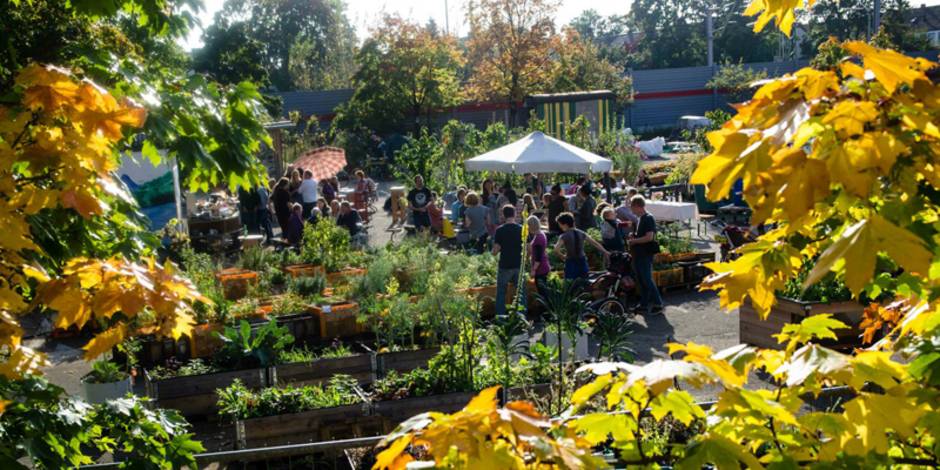 Urban Gardening – 4 Gemeinschaftsgärten in Deutschland - bauen.de