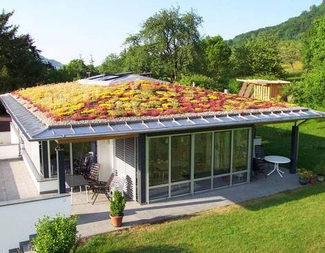 Optigrün Extensive Dachbegrünung Dachbegrünung, Foto: Optigrün