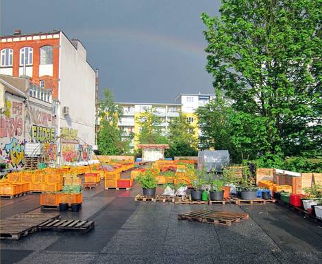Urban Gardening, Hamburg, Gartendeck. Foto: Gartendeck 2012