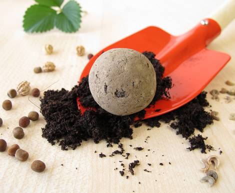 Urban Gardening, Saat-Bombe. Foto: Heike Rau / fotolia.com