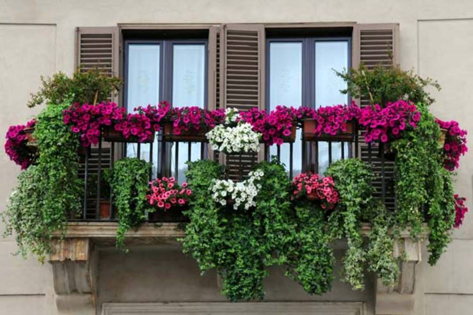 kleiner Balkon, französischer Balkon, Bepflanzung, Foto: vicspacewalker/fotolia.com