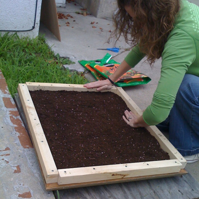 Grune Wand Raffinierter Blickfang Fur Die Wohnung Bauen De
