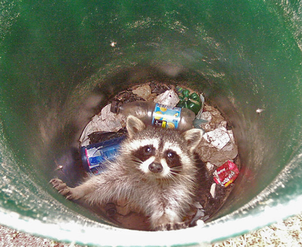 Waschbar Im Haus Tipps Und Tricks Zum Umgang Bauen De