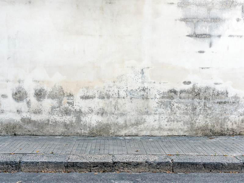 Fassade Streichen Von Der Vorbereitung Bis Zum Fertigen Anstrich Bauen De
