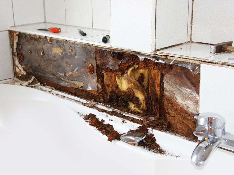 Dichtschlamme Schutz Vor Feuchten Wanden Im Badezimmer Bauen De