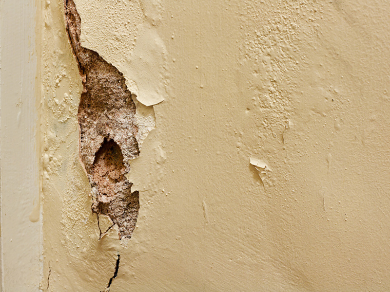 Risse Im Aussenputz Ausbessern So Geht S Bauen De